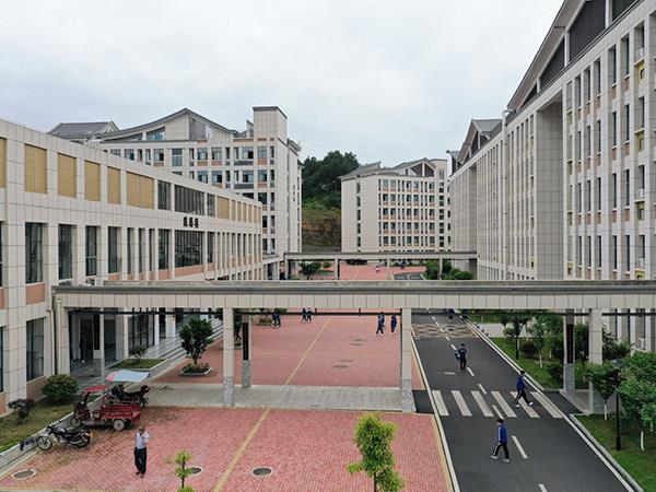 雅膳楼