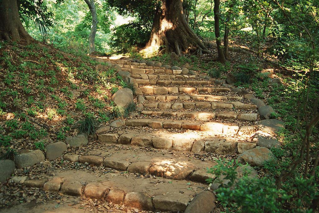  进路与退路